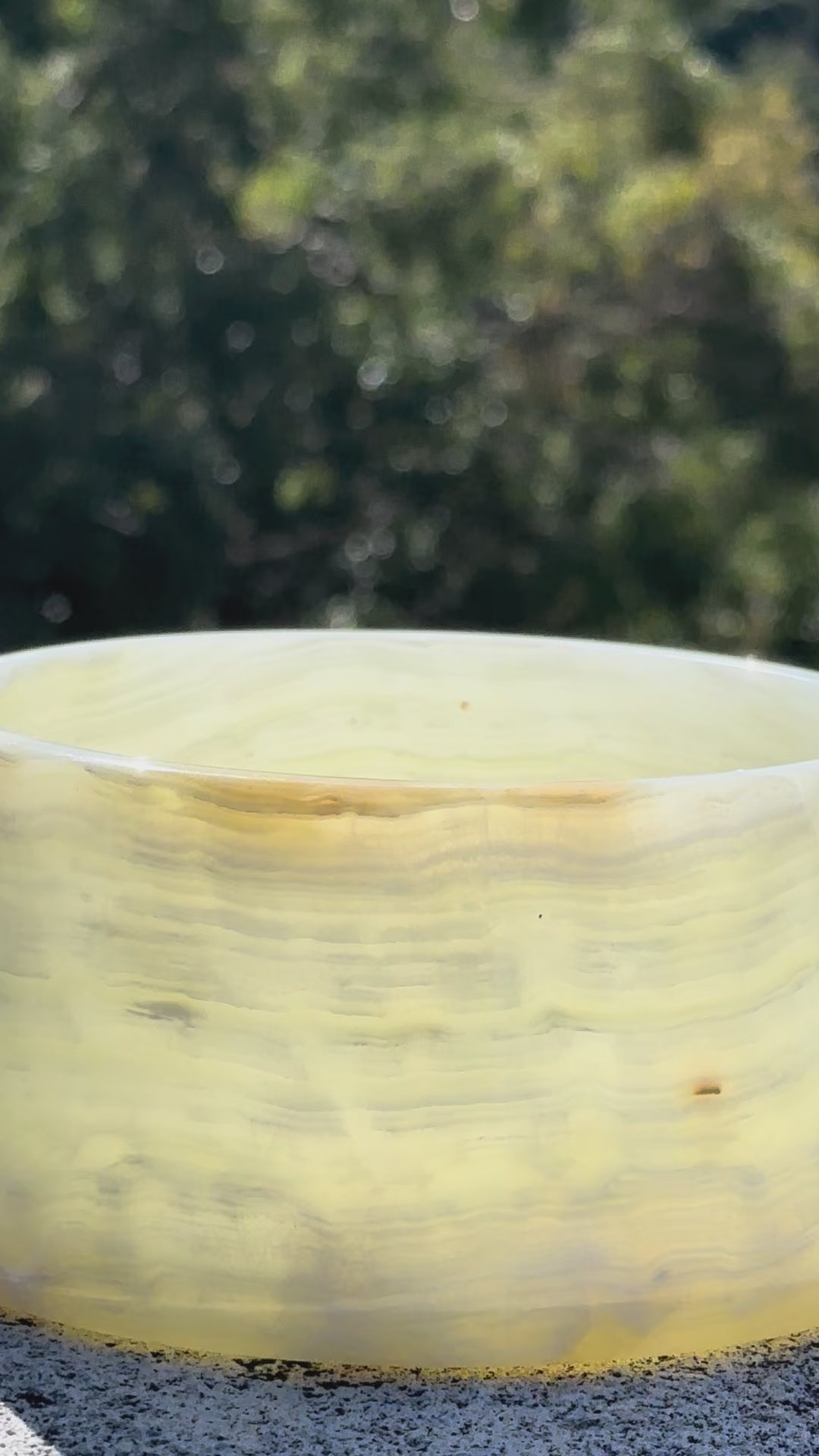 The Jade Onyx Vessel